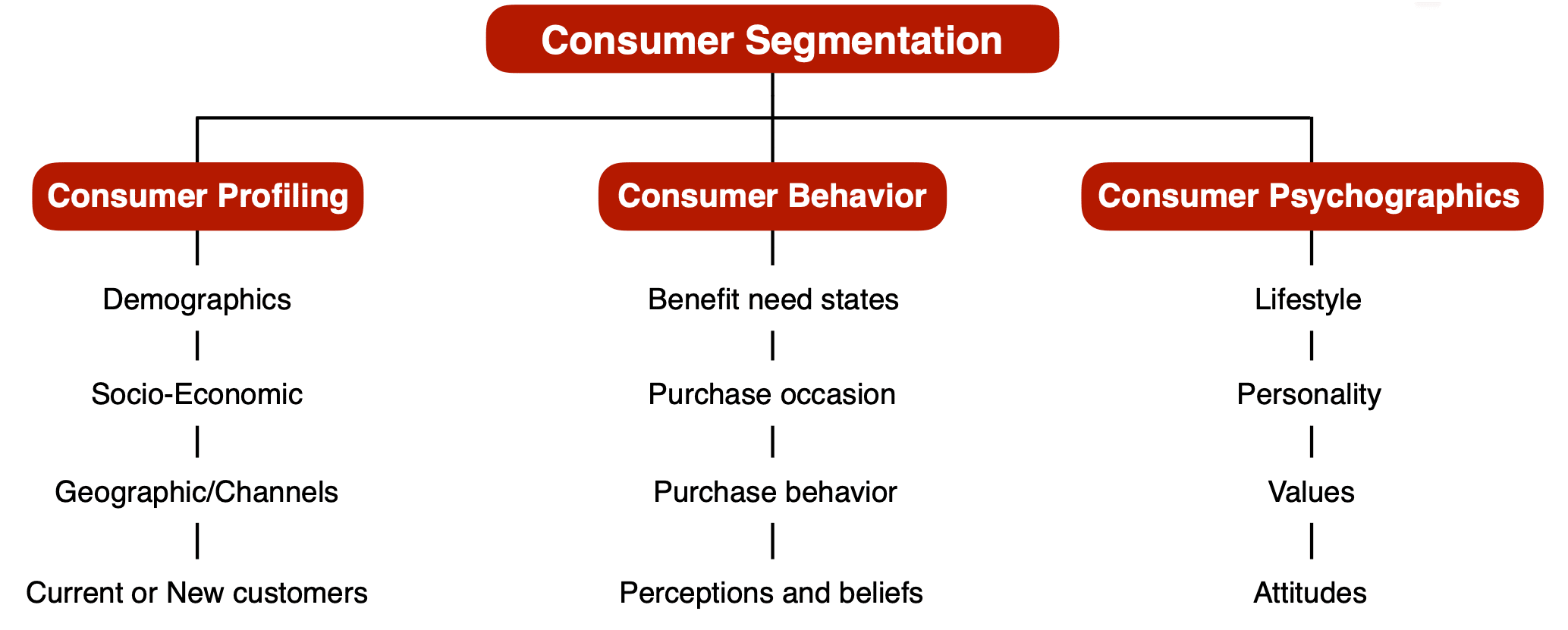 segmentation and consumer profile