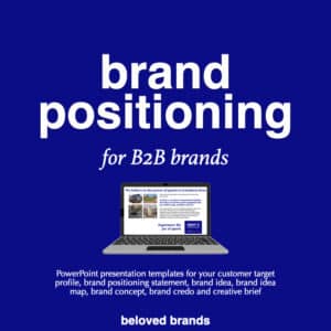 brand plans for b2b brands, brand positioning for b2b brands, business reviews for b2b brands, brand toolkit for b2b brands