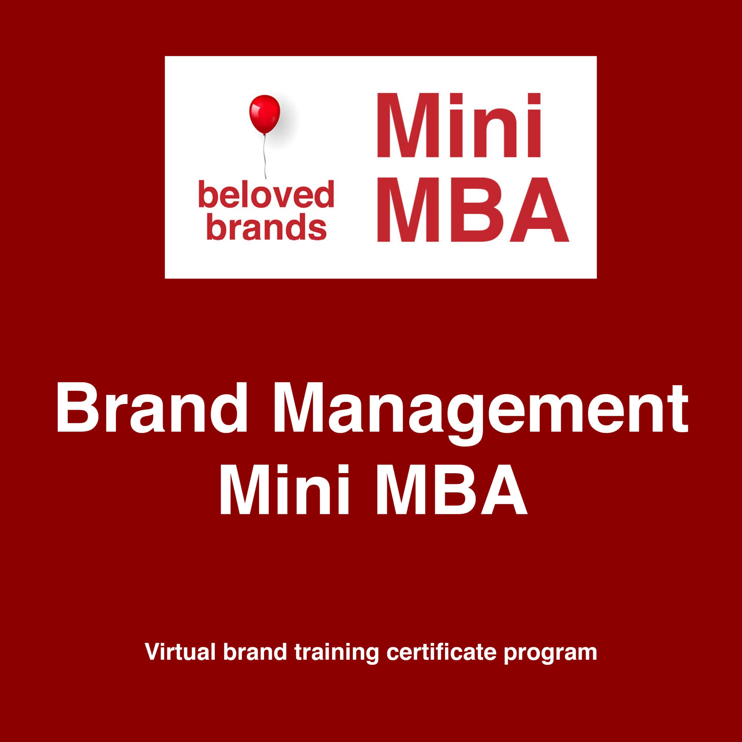 Mini MBA in brand management online marketing course