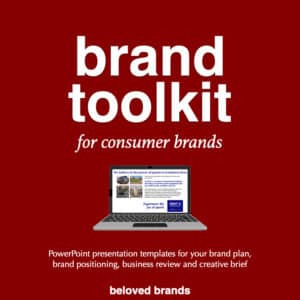 Brand Toolkit for consumer brands, Brand Toolkits, brand plan, brand positioning, business review, brand toolkits for B2B brands, brand toolkits for consumer brands, brand toolkits for healthcare, brand toolkits for retail brands